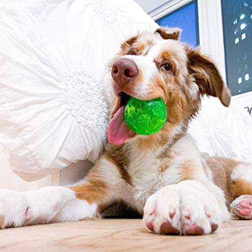Hyper Pet DuraSqueak Dog Ball Toy, Interactive Dog Toys that Float and Squeaks for Playing, Fetching and Retrieving-Great Alternative to Traditional Tennis Balls Green 2.5 Inch - size: 2.5 Inch