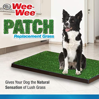Four Paws Wee-Wee Premium Patch Indoor and Outdoor Pet Potty for Dogs l Dog Potty Training l Artificial Grass l Wee-Wee Patch (Pack of 3) - size: Medium(1 Count) (Pack of 3), style: Patch