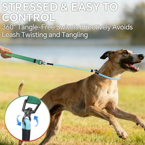 QQPETS Adjustable Slip Lead Dog Leash, Hands Free Waist Leash for Dog Walking, Reflective Training Lead with 360° Swivel Anti-Tangle, 4-7 ft Length for All Breeds - color: Vibrant Gradient