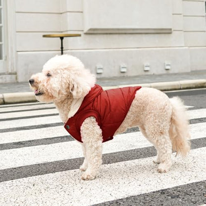 Vecomfy Fleece Lining Extra Warm Dog Hoodie in Winter,Small Dog Jacket Puppy Coats with Hooded,Red XS - color: Red, size: X-Small (Pack of 1)