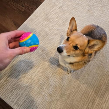 SPOT Sensory Ball for Soft Chewers - Stimulates All 5 Senses, Bell & Squeaker Sounds, Raised Nubs Clean Teeth, High Contrast Fetch Toy, Beef Scented, Durable TPR Rubber Ball, 2.5-inch - size: 2.5 inch (Pack of 1)