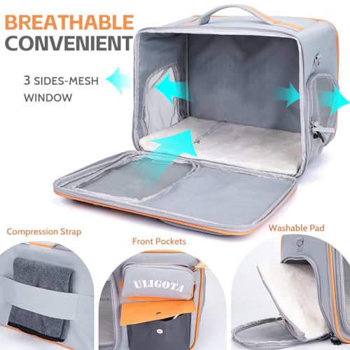 Backpacks for Pets Backpack Carrier for Cat and Small Dogs, Ventilated Dog Backpack Carrier | Airline Approved Cat Carrier | Cat Bag for Hiking Travel Camping Outdoor Use