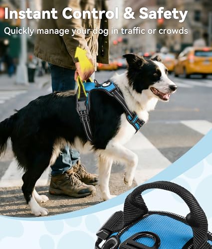 Joytale No Pull Dog Harness Medium Sized Dog, Reflective Pet Vest with Front Clip, Adjustable Soft Padded Harnesses with Easy Control Handle for Training and Walking, Sky Blue, M - color: SkyBlue, size: Medium