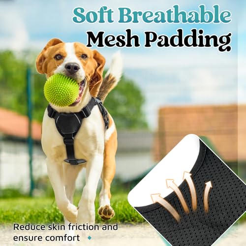 rabbitgoo Escape Proof Dog Harness, Soft Padded Full Body Pet Harness, Reflective Adjustable No Pull Vest with Lift Handle and Leash Clip for Large Dogs Walking Hiking Training, S, Grey - color: Grey, size: Small (Pack of 1)
