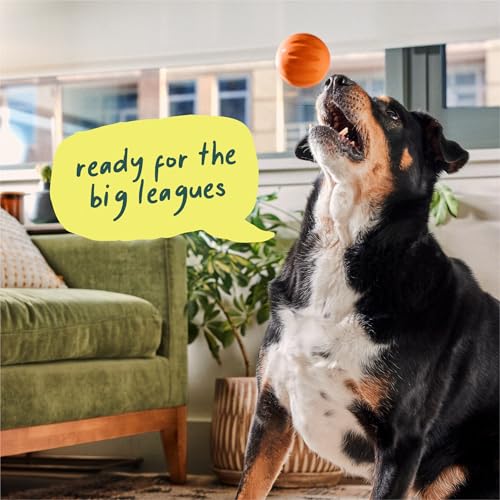 WOOF Flyball - 2-in-1 Fetch Ball and Dog Treat Dispenser Toy - Interactive Puzzle for Enrichment - Fits Standard Ball Launchers - Durable, Tooth-Friendly Rubber - The Perfect Dog Gift - 3 Pack