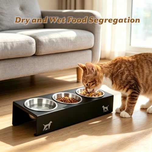 Elevated Cat Food Bowls [3 Pack] - 15° Tilted Stainless Steel, Anti-Vomit Raised Pet Feeder with Non-Slip Base, Ergonomic Whisker-Friendly Bowl Set for Indoor Cats & Kittens - size: Stainless Steel-3 Bowls