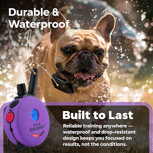 Educator ME-300 Micro E Collar for Dog Training with Remote - 1/3 Mile Range, Waterproof, 100 Blunt Stimulation Levels, Tone or Vibration Mode, Night Tracking Light for Small, Medium & Large Dogs - size: 1 Dog - ME-300