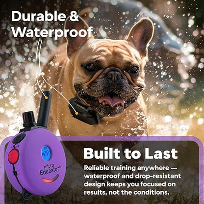 Educator ME-300 Micro E Collar for Dog Training with Remote - 1/3 Mile Range, Waterproof, 100 Blunt Stimulation Levels, Tone or Vibration Mode, Night Tracking Light for Small, Medium & Large Dogs - size: 1 Dog - ME-300