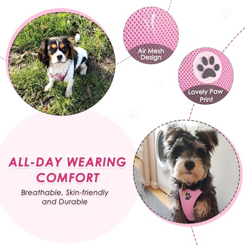 Lukovee Dog Car Harness Seat Belt, Adjustable Mesh Breathable Vest with Elastic Bungee Tether, Soft Padded 2-in-1 Safety Car Harness Seatbelt for Small Medium Large Dogs (A-Pink,XXS) - color: A-Pink, size: XX-Small