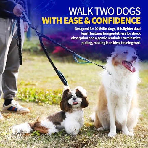 Pet Fit For Life 64" Lightweight Dual Dog Leash for Medium Dogs – Premium No Twist Double Leash with Soft Foam Handle | Shock-Absorbing Bungee & Durable Design | Added Collapsible Water Bowl - size: Small