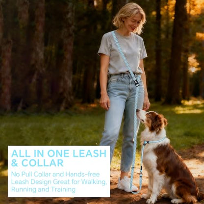 QQPETS Adjustable Slip Lead Dog Leash, Hands Free Waist Leash for Dog Walking, Reflective Training Lead with 360° Swivel Anti-Tangle, 4-7 ft Length for All Breeds - color: Blue Plaid