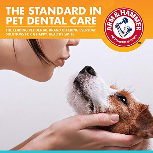 Arm & Hammer for Pets Enzymatic Dog Dental Care Kit, Chicken Flavor Toothpaste with Baking Soda for Plaque, Tartar, and Bad Breath, Double-Sided Toothbrush and Finger Brush Included, 2.5 Oz - 48 Pack - size: 2.5 Ounce (Pack of 48)