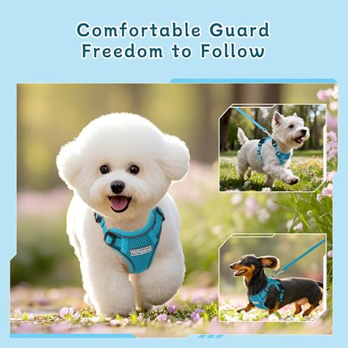 Small Dog Harness and Leash Set, Reflective Soft Breathable Mesh Vest, 3 Buckles, Adjustable Neck and Chest,Step in Dog Harness for Walking, Running, Training, Turquoise, M - color: Turquoise, size: Medium