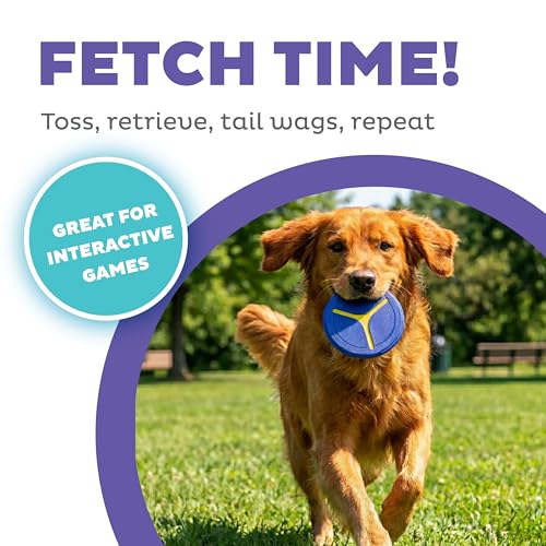 Outward Hound FlyFetch Disc Dog Toy, Durable Rubber, Stand-Alone or Replacement Discs for Launcher, 5", 2-Pack - color: Replacement Disc Purple