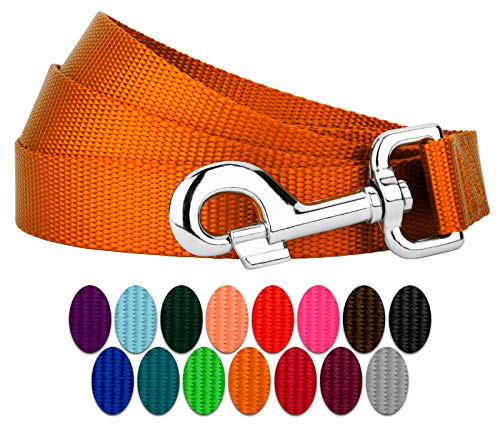 Country Brook Petz - Vibrant 17 Color Selection - Heavyduty Doublehandle Nylon Leash (6 Foot, 3/4 Inch Wide, Orange) - color: Orange