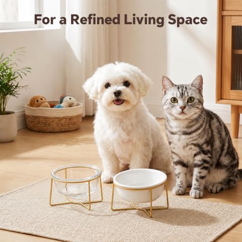 Small Glass Tilted Elevated Cat Dog Bowl Raised Cat Food Water Bowl Dish Pet Comfort Feeding Bowls with Gold Iron Stand - color: Glass, size: Small
