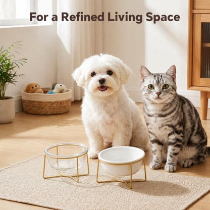 Small Glass Tilted Elevated Cat Dog Bowl Raised Cat Food Water Bowl Dish Pet Comfort Feeding Bowls with Gold Iron Stand - color: Glass, size: Small