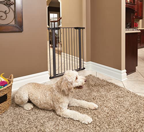 Midwest 39" Steel Walk-Thru Dog Gate, Graphite | Pressure Mounted, Expands 29.5"- 38" Wide, Auto-Close Door, Spring-Loaded Latch, Includes Two 3" Extensions - color: Graphite, size: 39-Inch