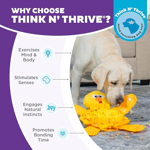 Outward Hound by Nina Ottosson Snuffle Palz Plush Snuffle Mat Dog Treat Puzzle, Non-Slip, Yellow, Chicken - color: Snuffle Palz Chicken