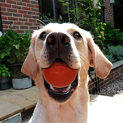Sunglow Durable Dog Ball for Chewing & Training, Tough Indestructible Dog Chew Toy, Solid Rubber Bouncy Ball, Cleans Your Dog's Teeth & Improves Mental Health