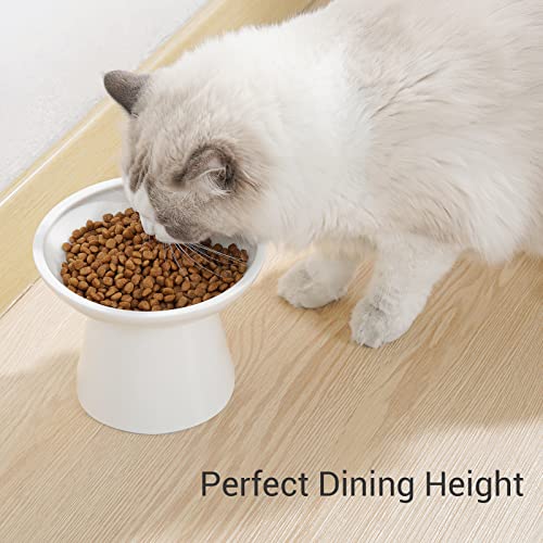 CEEFU Extra Wide Elevated Ceramic Cat Bowl, 6.2" Shallow Dish for Whisker Fatigue Relief, 5" Height for Easy Feeding, Durable Raised 2 Cat Food Bowls, White - color: White-2 Food Bowl