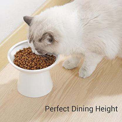 CEEFU Extra Wide Elevated Ceramic Cat Bowl, 6.2" Shallow Dish for Whisker Fatigue Relief, 5" Height for Easy Feeding, Durable Raised 2 Cat Food Bowls, White - color: White-2 Food Bowl