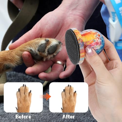 Nail File for Dogs Dog Nail Scratch Board Puppy Nails File with 3 PCS Replaceable Sandpaper