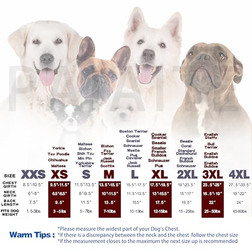 Paiaite Light Blue Chihuahua Dog Hoodie: Keep Your Pup Warm and Stylish with a 'The Dog Face' Printed Sweatshirt Pet Clothes, and Sweater Coat All in One Perfect for Winter and Cool Summer Nights! M - color: Light Blue, size: M-(5~11lb) | Chest(~17.7")