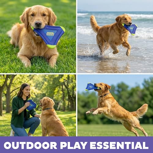 Outward Hound FlyFetch Flyer Dog Toy, Lightweight, Floats in Water, All Breeds, 10" x 11.2" - color: Flyer Purple