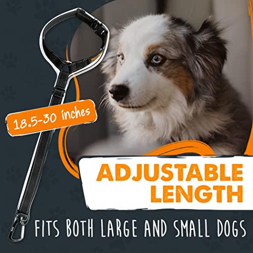 Mighty Paw Dog Seat Belt For Car Headrest - Distraction Free Driving, Heavy-Duty Aviation Grade Aluminum Carabiner, and Tactical Buckle.Adjustable Dog Seatbelt Harness for Small, Medium and Large Pets - style: Headrest Attachment