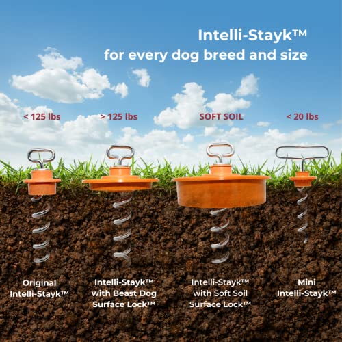 IntelliLeash Intelli-Stayk: Tailored for Soft Soils – Specialized Tie Out Stake for Dogs