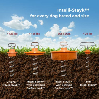 IntelliLeash Intelli-Stayk: Tailored for Soft Soils – Specialized Tie Out Stake for Dogs