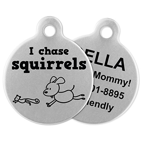 If It Barks - Engraved Pet ID Tags for Dogs - Personalized Stainless Steel Identification Tags - Custom Name Tag Attachment - Made in USA, I Chase Squirrels - color: Squirrels