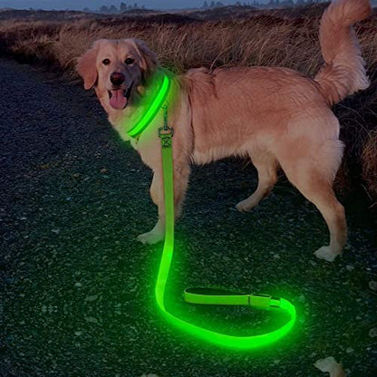 Candofly Glowing LED Dog Leash, Rechargeable Pet Leash with Lights, 4 Ft Light Up Dog Leash for Night Walking Keep Your Pets Visible (Neon Green) - color: Neon Green