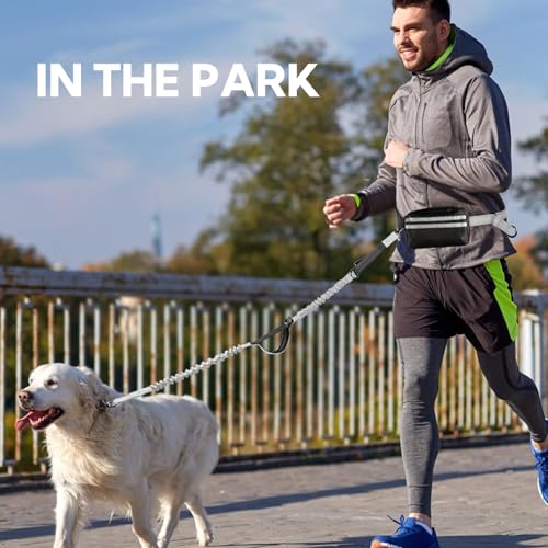 Hands Free Dog Leash with Pouch, Retractable Bungee with Double Padded Handles, Dog Leashes with Bungee for Medium & Large Puppy - color: Silvery