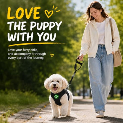 Dog Harness Small Sized and Leash Set, Step in Soft Light Puppy Vest, Breathable Mesh Pet Harness, Adjustable Pet Puppy Harness, Easy Walk Dog Harness, S: Chest 7.8-13.7" - color: Black, size: S: Chest 7.8-13.7" Leash 3.8 FT