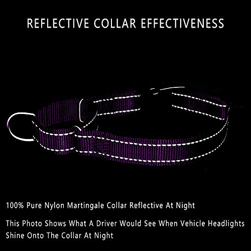 PLUTUS PET Reflective Martingale Collar with Quick Snap Buckle,No Pull Dog Choker Collar for Small Medium Large Dogs,XS,Purple - color: Purple, size: XS：10"-12"