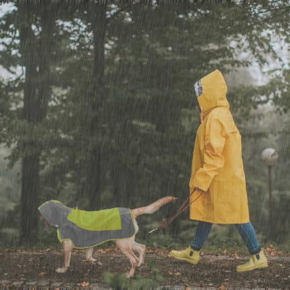 IECOii Large Dog Raincoat Waterproof,Hooded Rain Jacket Keep Dog Dry in Wet Weather,Reflective Rain Poncho Clothes with Convenient Leash Hole/Adjustable Magic Sticker/Easy On and Off/,Green,Large - color: Green, size: Large