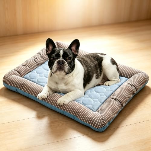 RPGT Summer Pet Self Cooling Mat No Electricity Required Kennel Bed Pad 18"x 22" Sleeping Mat Keeps Dogs and Cats Cool Ideal for Home and Travel - size: Medium