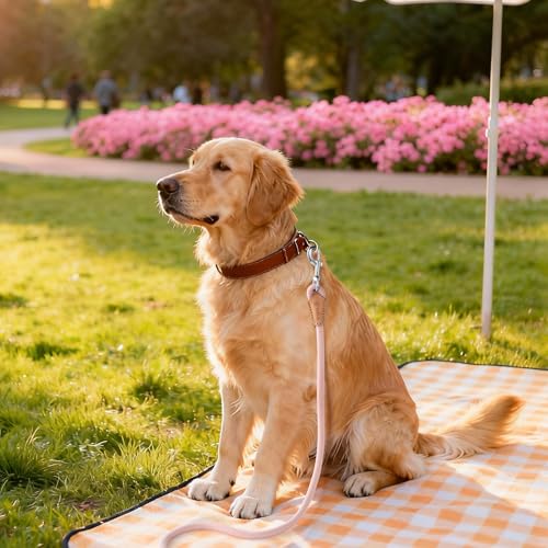 Mile High Life Dog Leash, Rope Leash with Genuine Leather Connection and Heavy Duty Metal Clasp, Great for Small Medium Large Dogs(Light Pink,48 Inch) - color: Rope Handle-Light Pink, size: 48 Inch-1/2"