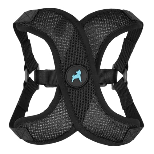 Gooby Comfort X Step in Lite Dog Harness - Choke Free, Escape Free with Light Breathable Mesh - Step in Dog Harness for Small and Medium Dogs - Quick Release Buckle, Metal D-Rings - Black, Small - color: Black, size: Small (14-17")