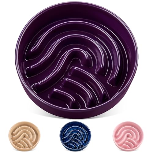 vancasso Slow Feeder Dog Bowl, 3 Cup Ceramic Slow Feeding Food Dish for Large Breed, Puzzle Dog Food Bowl for Fast Eater, Dark Purple - color: Dark Purple, size: L - 3 Cups