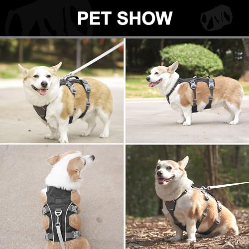 Escape Proof Dog Harness with Handle - Reflective No Pull Dog Vest, Lightweight Full Body Pet Harness Adjustable for Small Dogs Walking,Training(Black,Chest:14-22") - color: Black, size: XS: Chest 14-22", Fit 8-12 lbs