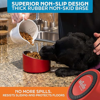 Master Pet Supply Stainless Steel Slanted Dog Cat Food Bowl - 16 oz Heavy Duty - Crimson Flame, Double Wall Insulated, Non-Slip Elevated Bowl for French Bulldogs Pugs Cats, Anti Rust Dishwasher Safe - color: Crimson Flame, size: 2 Cups (16 oz)