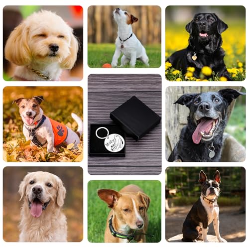 Personalized Halloween Ghost Dog Tag–Custom Engraved Pet ID Nameplate for Dogs and Cat–Ghost Shape Tag with Pet Name on Front and Address Phone on Back–Cute Spooky Halloween Collar Accessory(Style 3) - style: Style 3