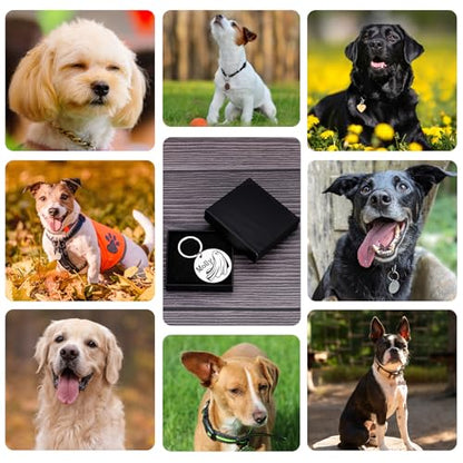 Personalized Halloween Ghost Dog Tag–Custom Engraved Pet ID Nameplate for Dogs and Cat–Ghost Shape Tag with Pet Name on Front and Address Phone on Back–Cute Spooky Halloween Collar Accessory(Style 3) - style: Style 3