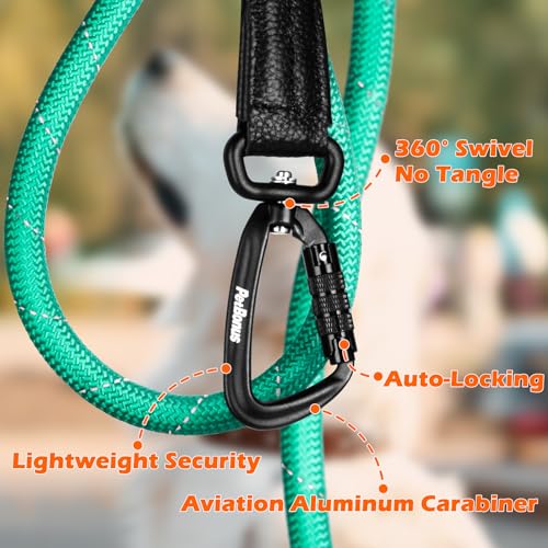 PetBonus Rope Dog Leash, 5 FT Heavy Duty Pet Nylon Leash with Auto Locking Aviation Aluminum Carabiner, Comfortable Padded Handle, Reflective Walking Training Lead for Medium Large Breeds (Turquoise) - color: Turquoise
