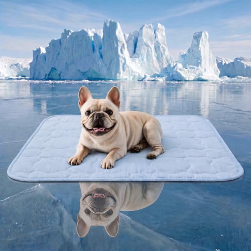 Pet Cooling Mat for Dogs, Breathable & Washable Cold Pad for Small Dogs, Thin & Portable Dog Bed for Crate Kennel Car Sofa Floor, Q-Max>0.4 Indoor Outdoor Summer Use, 30x20, Blue - size: 30" x 20" (M)