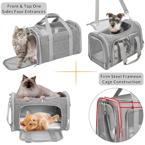 Soft-Sided Cat/Dog/Pet Carrier, Collapsible Pets Travel Carriers for Big Cats/Small Dogs with Shoulder Strap & Removable Mat, Mesh Puppy Carry Bag, Up to 16 Lbs, TSA Airline Approved(Gray) - color: GRAY, size: 17"L x 11"W x 11"H