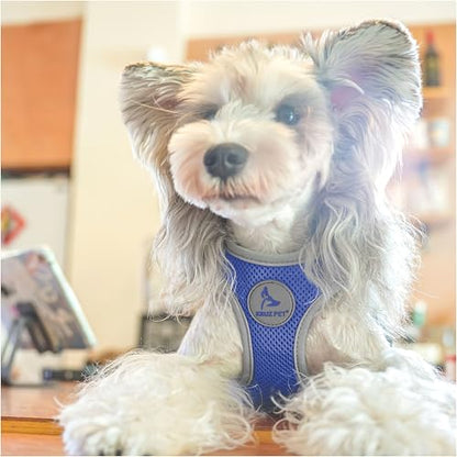 Kruz Dog Harness (Chest 20.5"-22", Weight 20–25 lbs) Athletica Adjustable Heavy Duty No Choke Puppy Vest for Small Dogs Lightweight Air Mesh, Reflective, Puppy Essentials – Blue, X-Large - color: Blue, size: X-Large